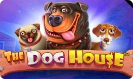 Spinrise – The Dog House